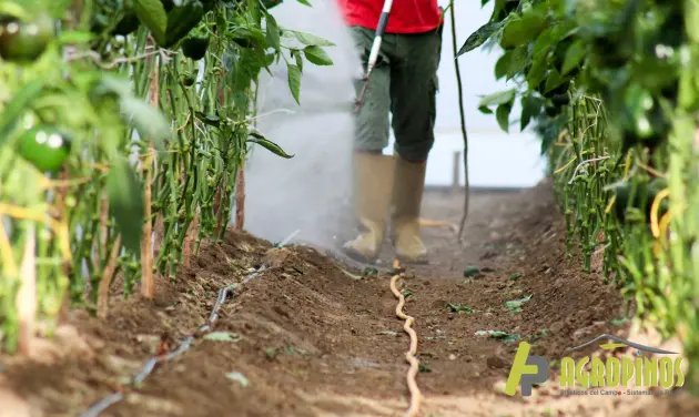 Persona fumigando un cultivo