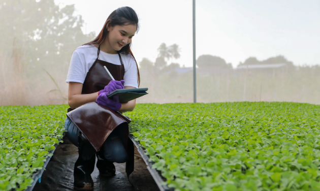 Insumos Para El Campo Agropinos